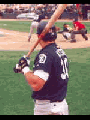 Hitting Zone/Mental Visualization CD