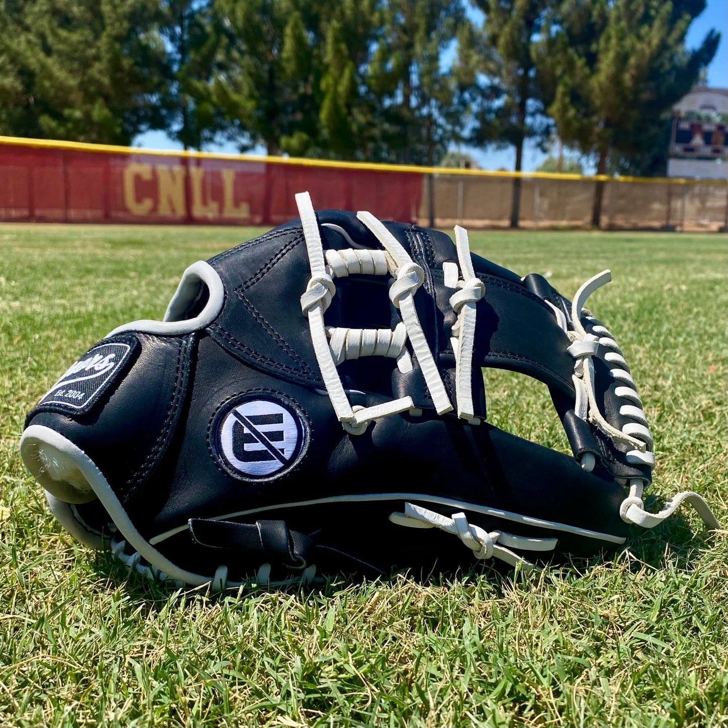 No Errors DWC Series I-Web Spiral Fielding Glove - Style 004