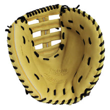 Akadema Fast Pitch Series Catcher's Mitt AEA65