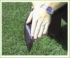 hitting-disk-step-2.jpg