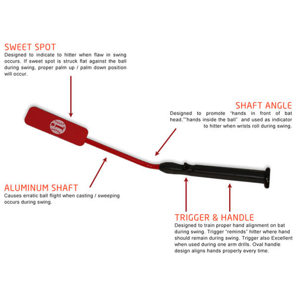 Features of the Insider Bat