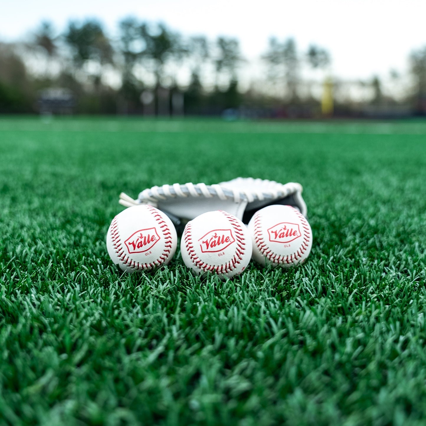 Valle small 8 inch leather training baseballs, back view